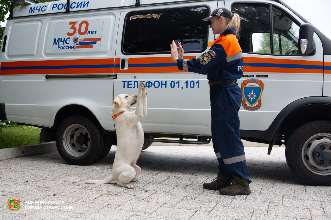 Спасатели провели тренировку на Комсомольском пруду в Ставрополе |  31.05.2024 | Ставрополь - БезФормата